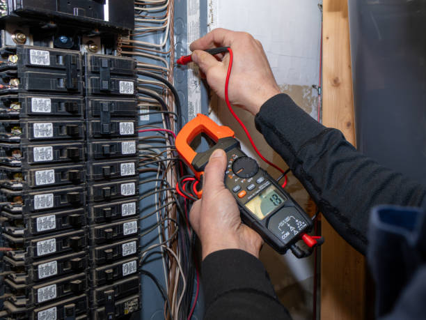 Best Ceiling Fan Installation Electrician  in Carlstadt, NJ